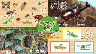 【昆虫いろいろ】カブトムシ・クワガタムシ・カマキリなど人気の昆虫知育アニメまとめ【赤ちゃん・子供向けアニメ】Insects animation for kids [upl. by Amihsat]