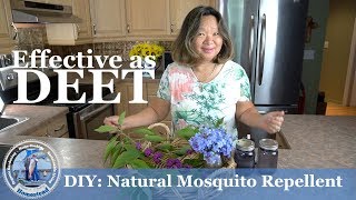 DIY Natural Mosquito Repellent  Effective as DEET [upl. by Yasdnil264]