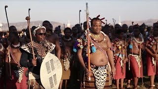 Reed Dance Ceremony in Swaziland [upl. by Mailiw]