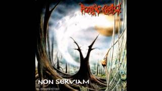 Rotting Christ  Non Serviam Lyrics HD [upl. by Ahsoik564]