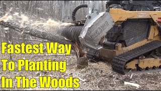 Creating Food Plots in the Woods With a Strategy for Seeing More Deer [upl. by Marnia]