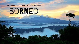 14 Interesting Facts About Borneo [upl. by Reedy]