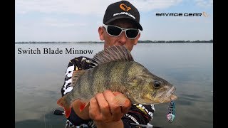 Szkółka SavageGear  Switch Blade Minnow [upl. by Seumas]