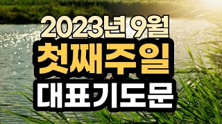 대표기도 예시문 l 9월 첫째 주일예배기도 l 9월 1주 대표기도문 모음 l 대표기도가 어려운분들을 위한 기도예시문 ㅣ 2023년 주일 예배대표기도 l 슬기로운 기도생활 [upl. by Anitsenre204]