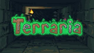 Terraria OST  Dungeon Extended [upl. by Nosredna354]