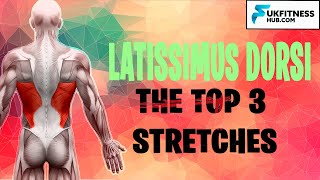 Latissimus Dorsi Anatomy And Best Stretches To Relieve Tightness [upl. by Oiram766]