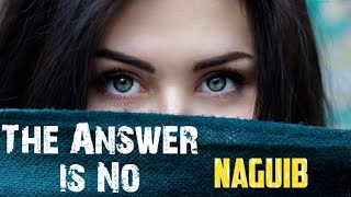 The answer is no by Naguib Mahfouz Complete Translation Summary Urdu  Hindi [upl. by Carny]