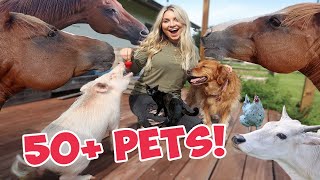 Feeding ALL My Pets TREATS in One Video  50 Pets [upl. by Dnarud]