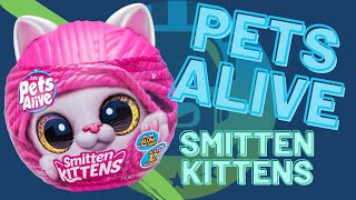 Pets Alive Smitten Kittens Unboxing [upl. by Yolane]