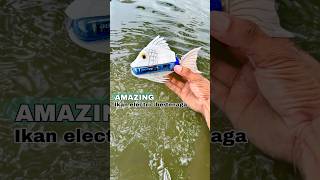 Diy kreatif ikan elektrik barang bekas  Electric powered fish diy creative tutorial toys toy [upl. by Amargo399]