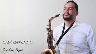 ESTÁ CAYENDO  SAX INSTRUMENTAL [upl. by Deer]