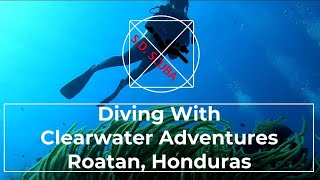 Scuba Dive With Clearwater Adventures  Roatan  Honduras [upl. by Hildegard]