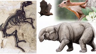 Taking Center Stage The Rise of Mammals In The Post Dinosaur World From 66 to 33 Million Years Ago [upl. by Dowzall]