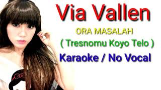 Ora Masalah  Tresnomu Koyo Telo  Via Vallen  Full Lirik Karaoke terbaru  cover [upl. by Yanal392]