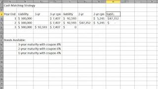 Cash Matching Strategy [upl. by Iveel]