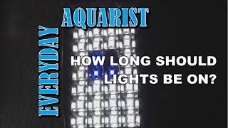 How long should Aquarium lights be on [upl. by Odele]