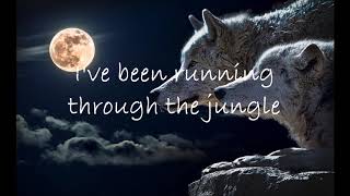 WOLVES SELENA GOMEZ LYRICS [upl. by Narmi]