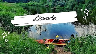 Spływ kajakowy Liswarta Danków  Wąsosz  śląskie kajaki [upl. by Anohsal]