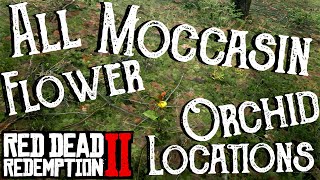 Red Dead Redemption 2  All 19 Moccasin Flower Orchid Locations Duchesses and Other Animals  RDR2 [upl. by Vallo]