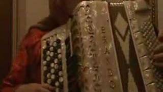 Traditional Swedish accordeon music [upl. by Suoicserp882]