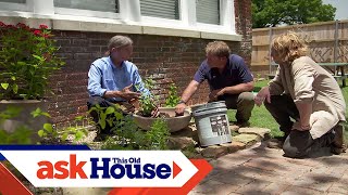 How to Plant a Pollinator Garden  Ask This Old House [upl. by Moshe681]