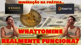 🛑  Whattomine é CONFIÁVEL SERÁ que PAGA tudo aquilo que mostra no site Binance é a melhor pool [upl. by Yevette]