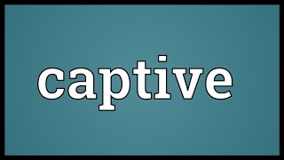 Captive Meaning [upl. by Langill]