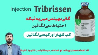 Injection Tribrissen  How To Use In Cattle Buffalo And Sheep Goat  Side Effects  Quality Ptoduct [upl. by Retniw]