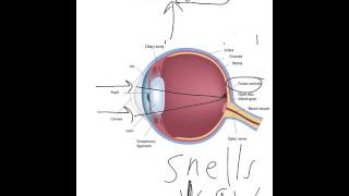 What is Astigmatism [upl. by Nidnarb]