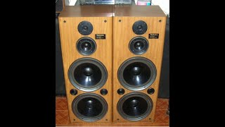 Technics SBA33 Speakers [upl. by Yromas372]