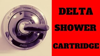 How To Replace A Delta Shower Cartridge  Do It Yourself [upl. by Aihtebat]