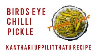 Kerala Style Birds Eye Chilli Pickle  Recipe 158  Kanthari Uppilittathu  Travel Chef [upl. by Rocky192]