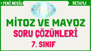 Mitoz Mayoz Soru Çözümü  7 SINIF [upl. by Nire]