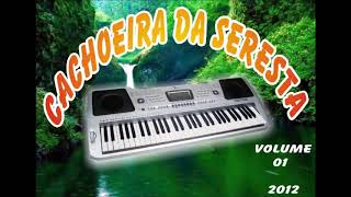 Cachoeira Da Seresta Vol1 2012 [upl. by Fahy]