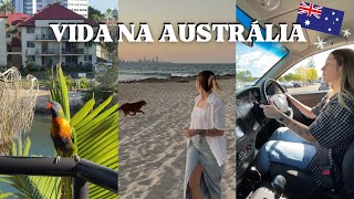 Mais um vlog morando na Austrália minha rotina em Gold Coast [upl. by Yanehc]