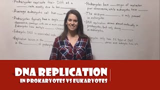 DNA Replication in Prokaryotes vs Eukaryotes [upl. by Marlen112]