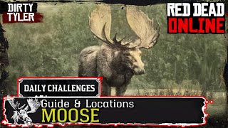 Red Dead Online Moose Locations RDR2 Perfect Pelt Guide [upl. by Bern]