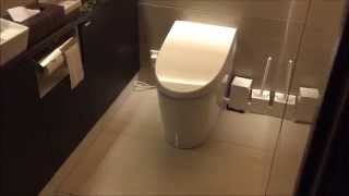 Japanese Toilet  Toto Washlet [upl. by Rhys714]