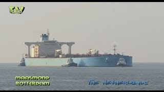 Maasgeul Rotterdam Maersk Sonia Crude oil tanker [upl. by Etennaej]