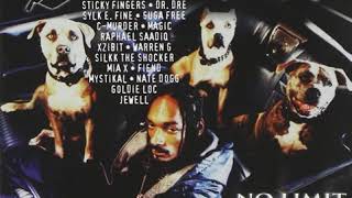 Snoop Dogg  Down 4 My Ns Feat CMurder amp Magic [upl. by Aicilic]