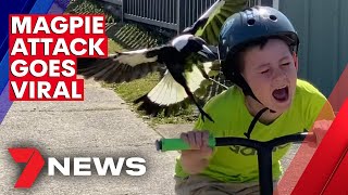 Australian boys magpie attack caught on camera  7NEWS [upl. by Trev]