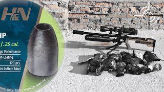 Destroying Pigeons with 25 cal Slugs HP [upl. by Eittam]