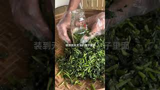 萝卜打下来的底叶拿来制作酸菜三碗米饭都嫌不够。关注我一起学种菜 种植小技巧 三农 [upl. by Twum]