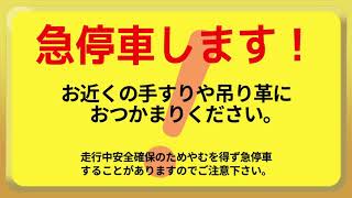 【LCD再現付き】E235系 横須賀線 急停車放送 [upl. by Rolyak]