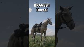 Top 4 BRAVEST Horse You Must OWN  RDR2 [upl. by Tacklind228]