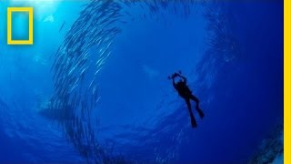 Enric Sala Journey to the Pitcairn Islands  Nat Geo Live [upl. by Einnij]