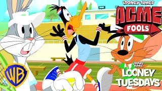 Looney Tunes en Latino  A Competition ACMEFools  WBKidsLatino [upl. by Aneerehs317]