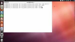 How to Set Proxy in Ubuntu [upl. by Hurff]