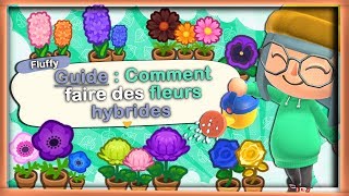 ➤GUIDE  COMMENT FAIRE DES HYBRIDES DANS ❰ANIMAL CROSSING NEW HORIZONS❱ [upl. by Wildee]