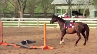 NEW Bad Horse Fails amp Fail 2018  Equi Rider [upl. by Koehler]